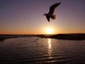 Juyan Lake Basin sunrise Royalty Free Stock Photo